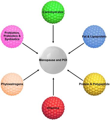 Dietary supplementation for female infertility: Recent advances in the nutritional therapy for premature ovarian insufficiency